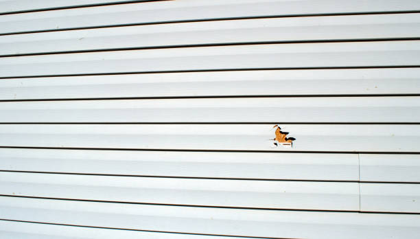 Best Residential Vinyl Siding Installation  in Milton, LA